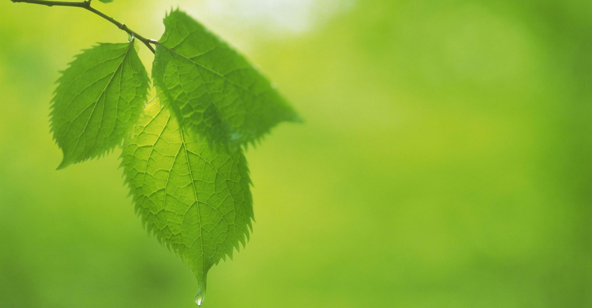 檢測(cè)報(bào)告